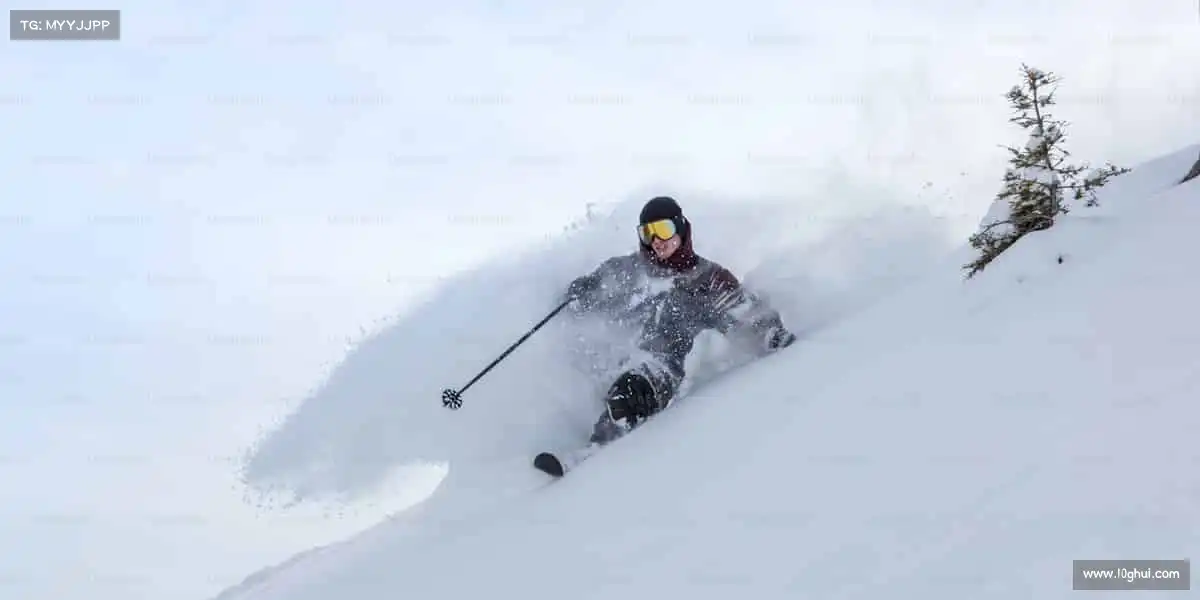 行业领先的理由